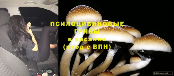 гидропоника Елизово