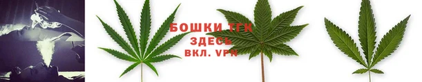 стафф Заводоуковск