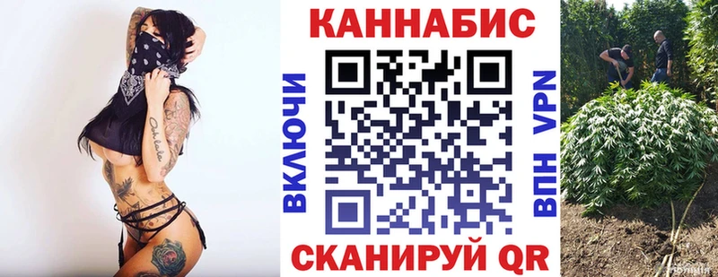 Купить где  Микунь  Канабис семена 
